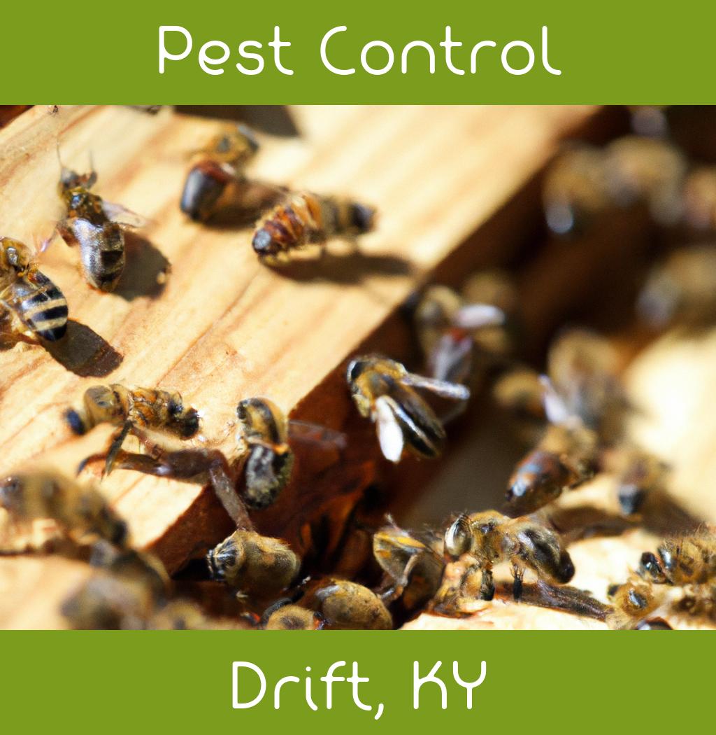 pest control in Drift Kentucky