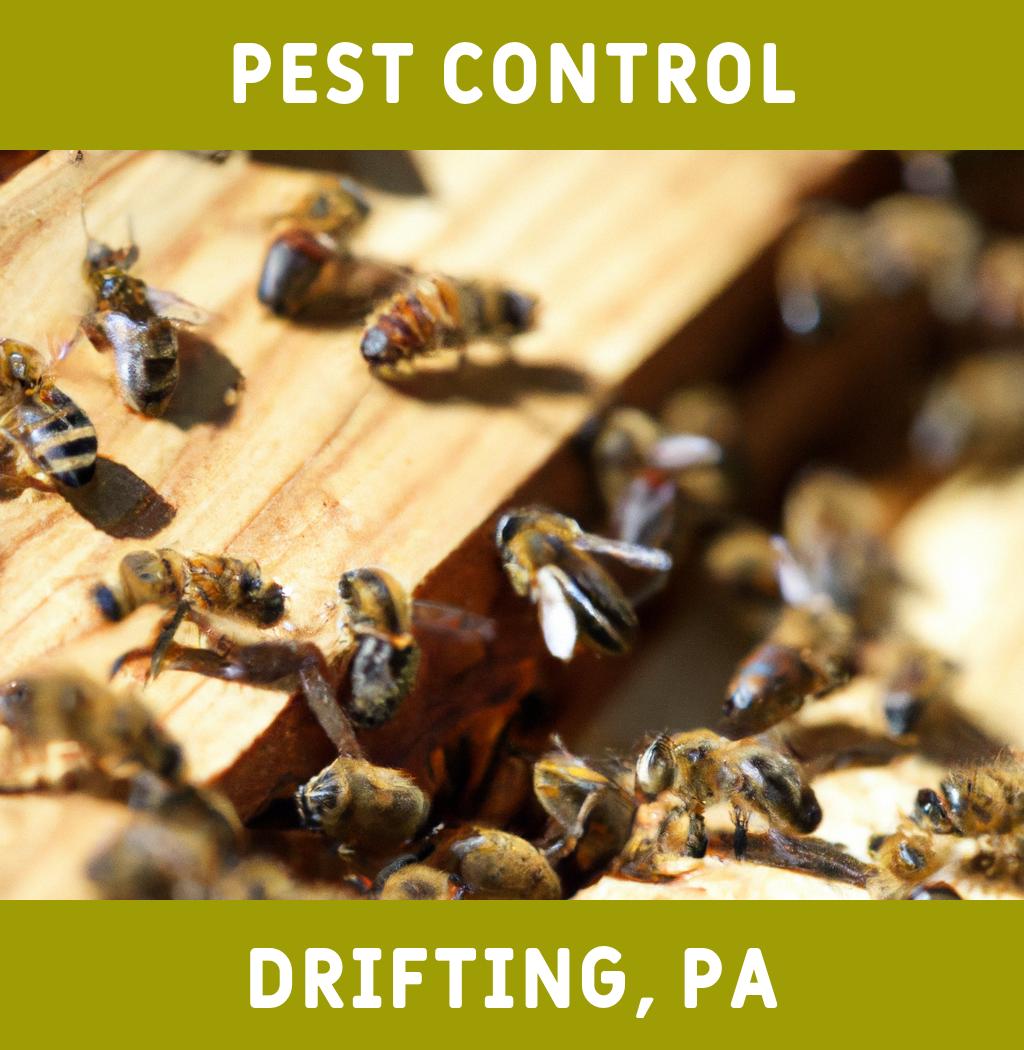 pest control in Drifting Pennsylvania