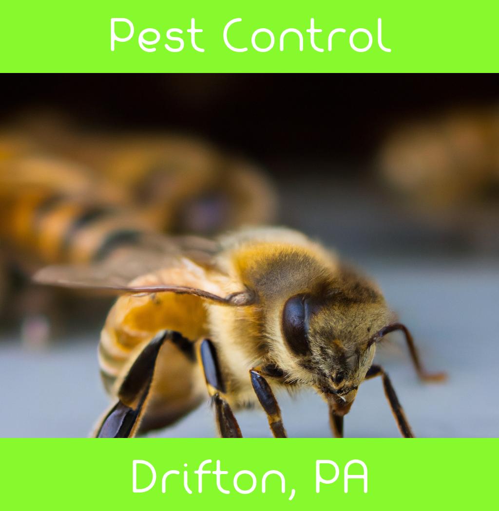 pest control in Drifton Pennsylvania