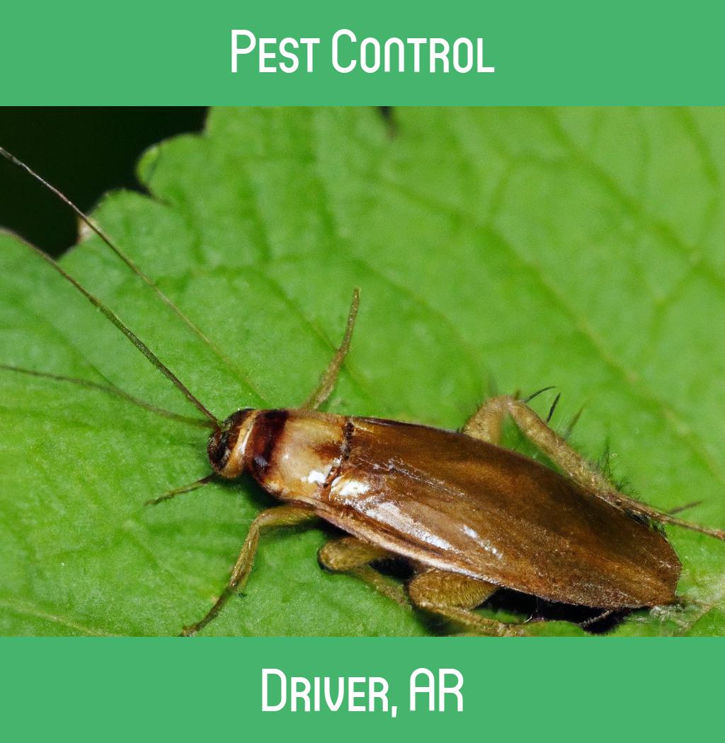 pest control in Driver Arkansas