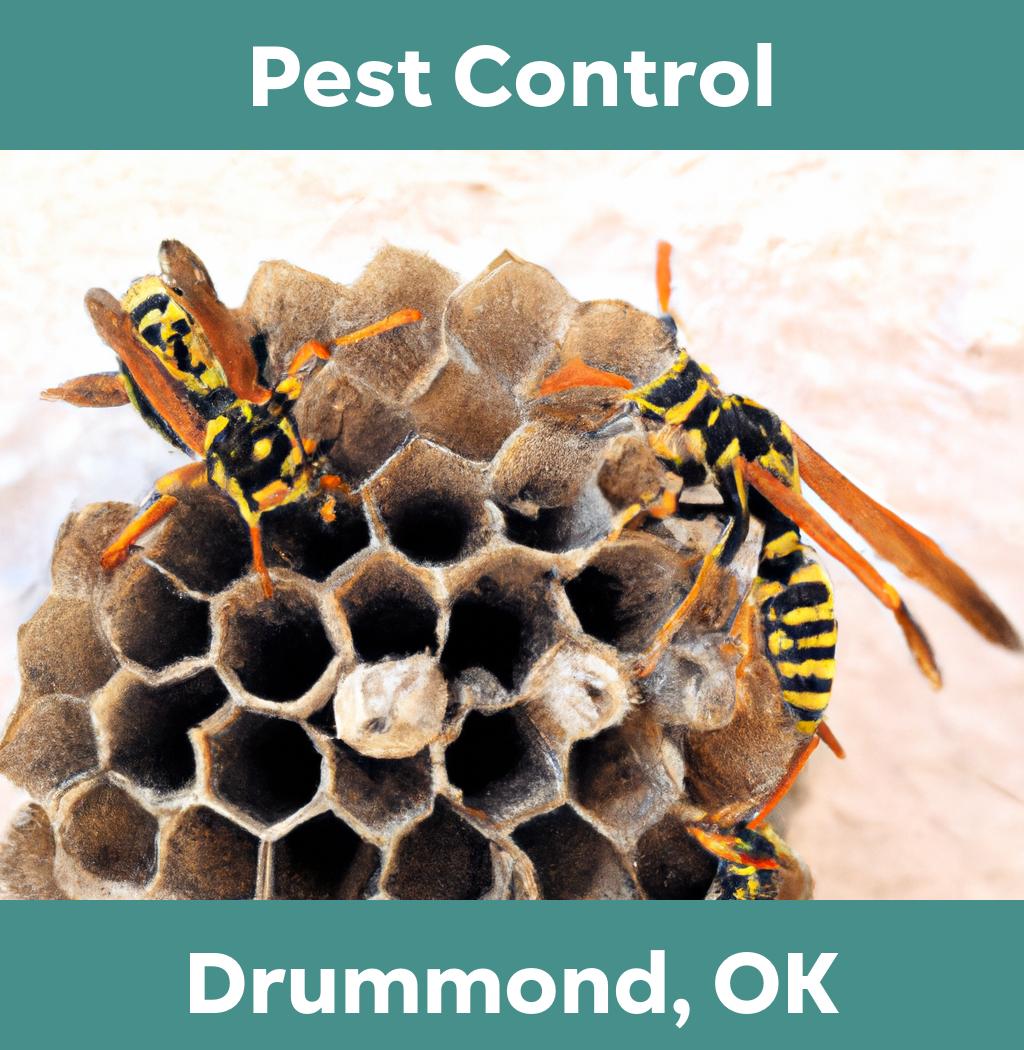 pest control in Drummond Oklahoma
