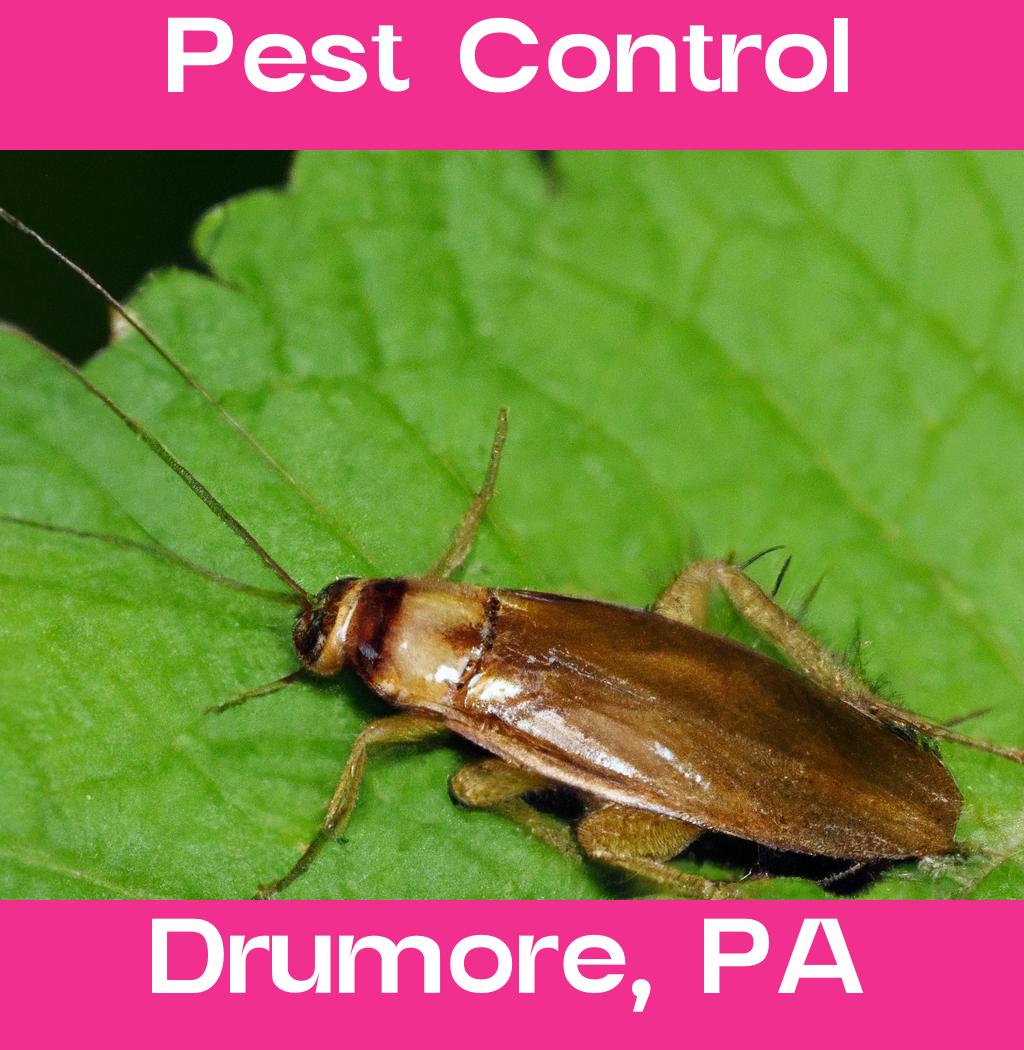 pest control in Drumore Pennsylvania