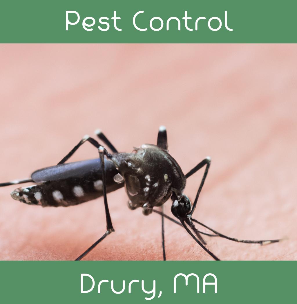 pest control in Drury Massachusetts