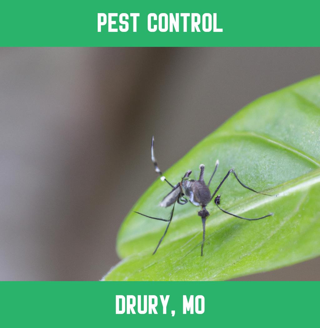 pest control in Drury Missouri