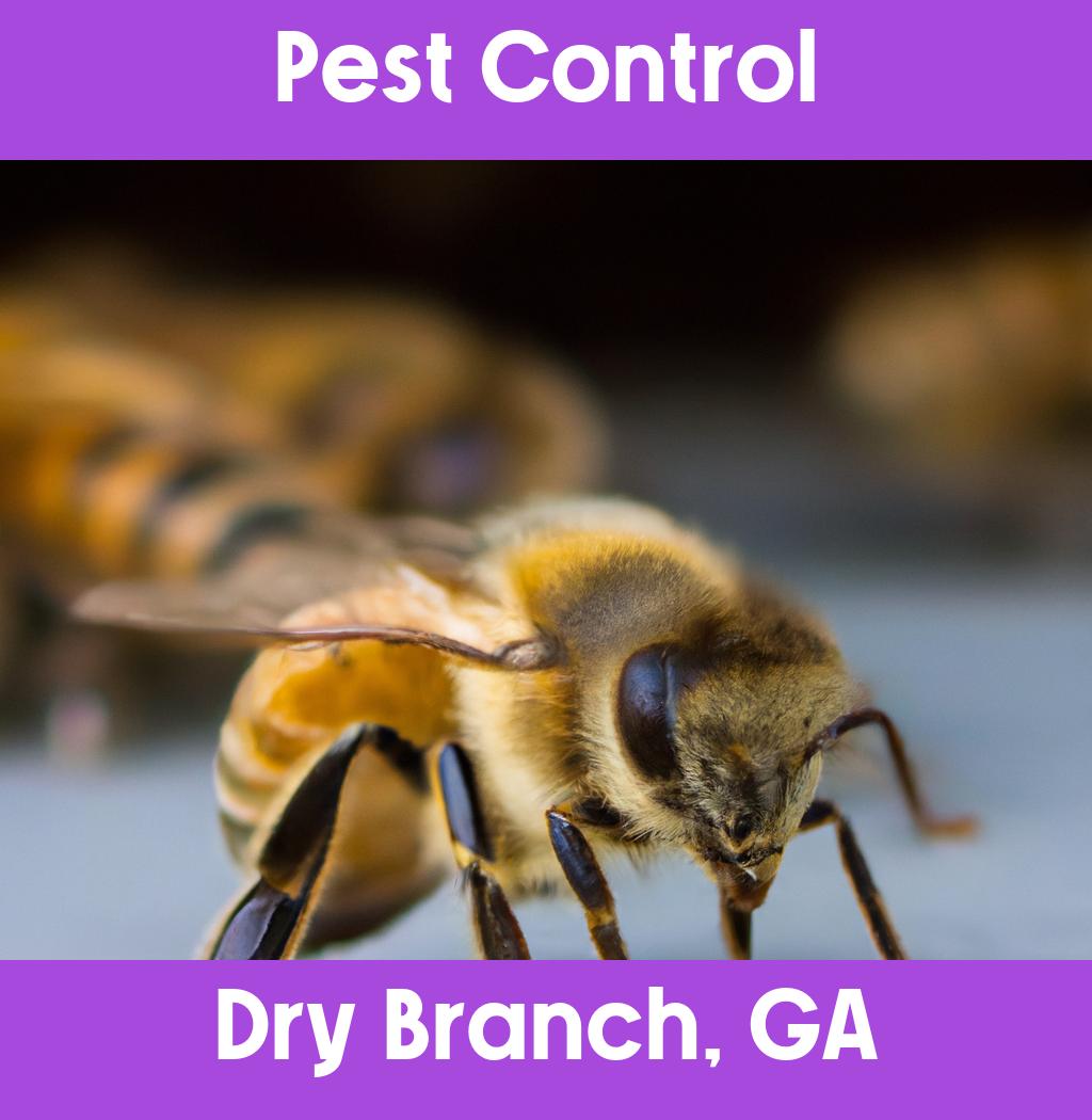 pest control in Dry Branch Georgia