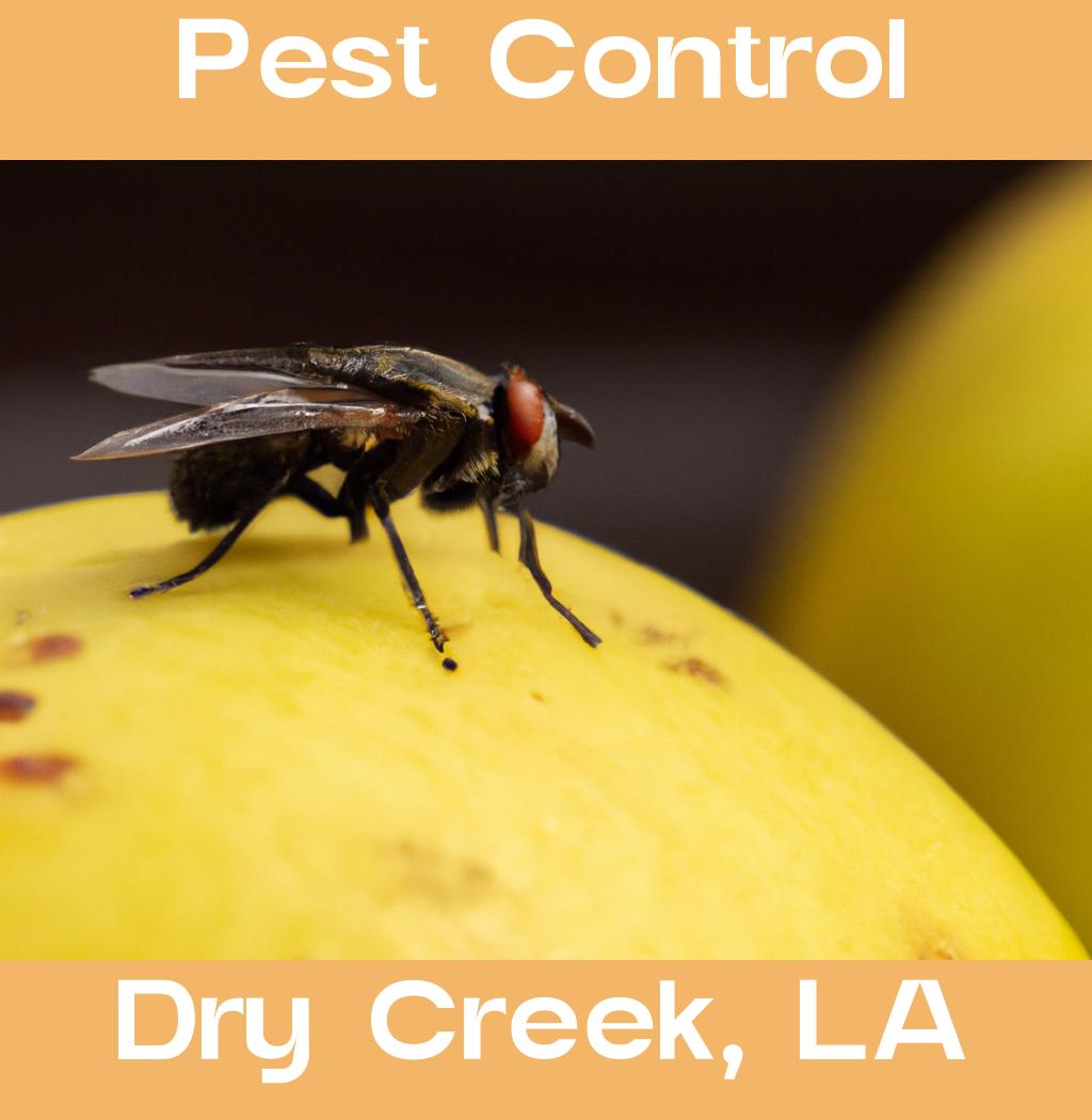 pest control in Dry Creek Louisiana