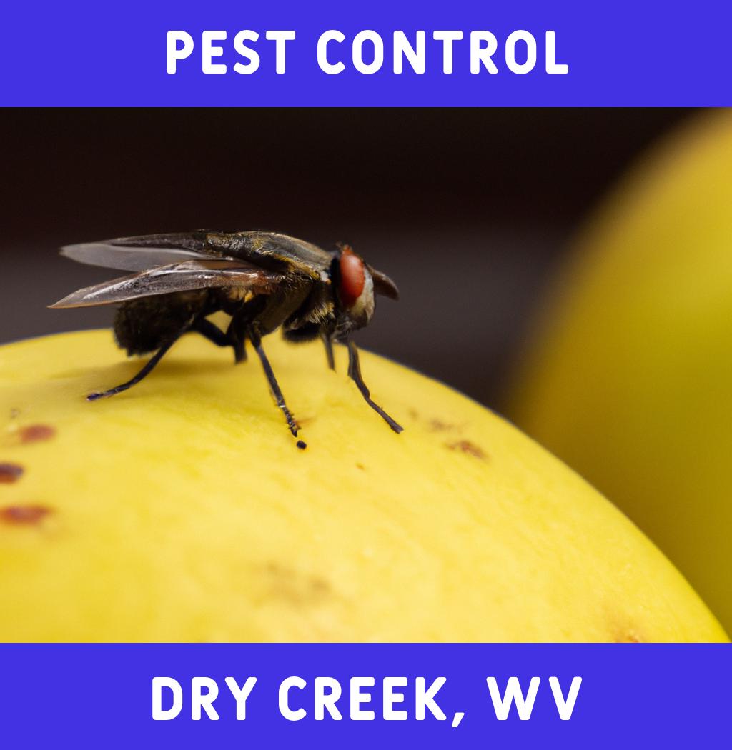 pest control in Dry Creek West Virginia