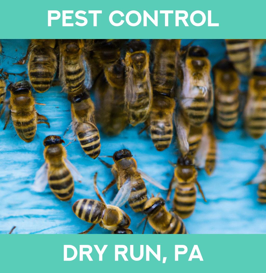 pest control in Dry Run Pennsylvania