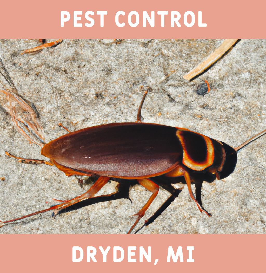 pest control in Dryden Michigan