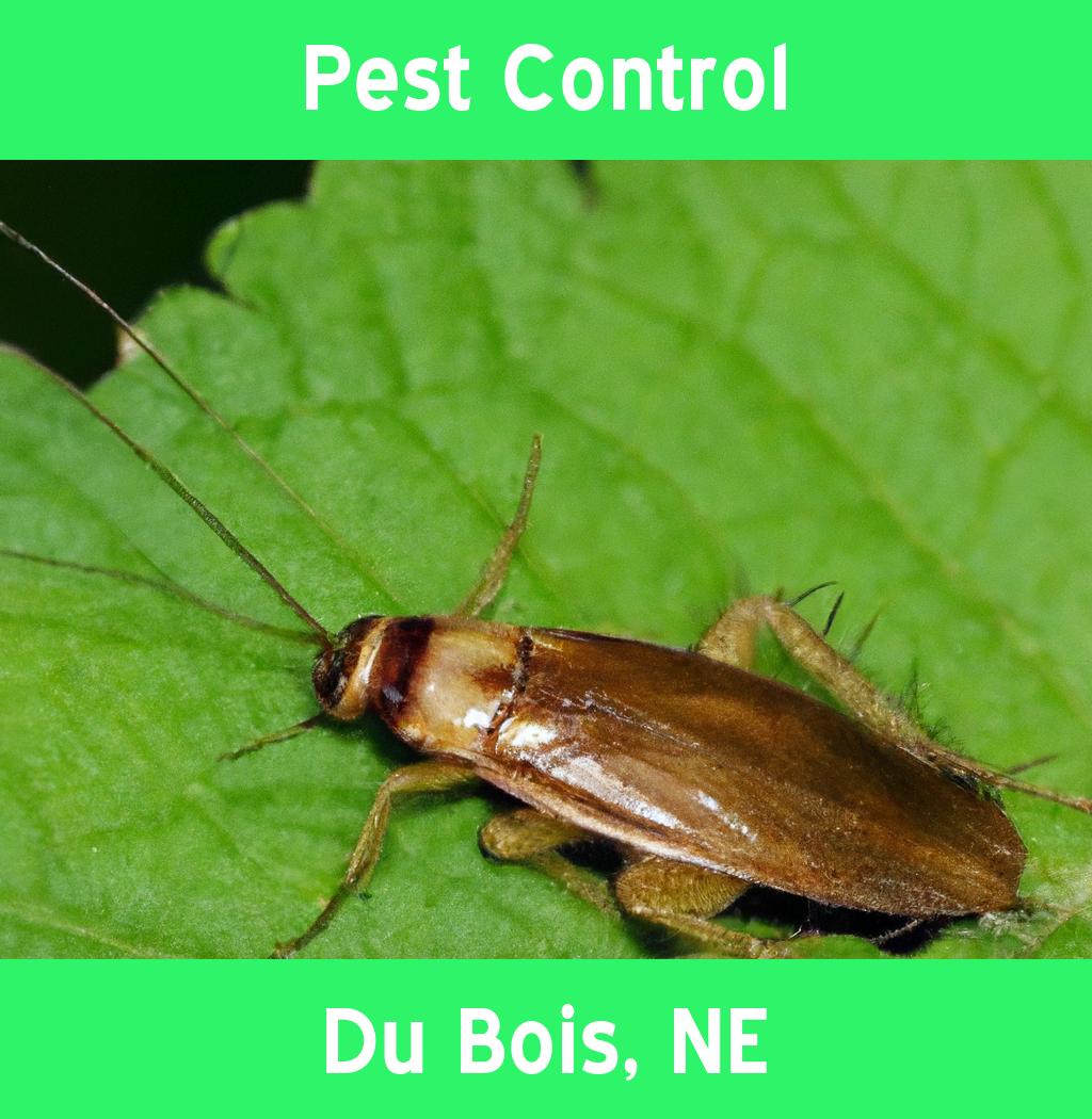 pest control in Du Bois Nebraska