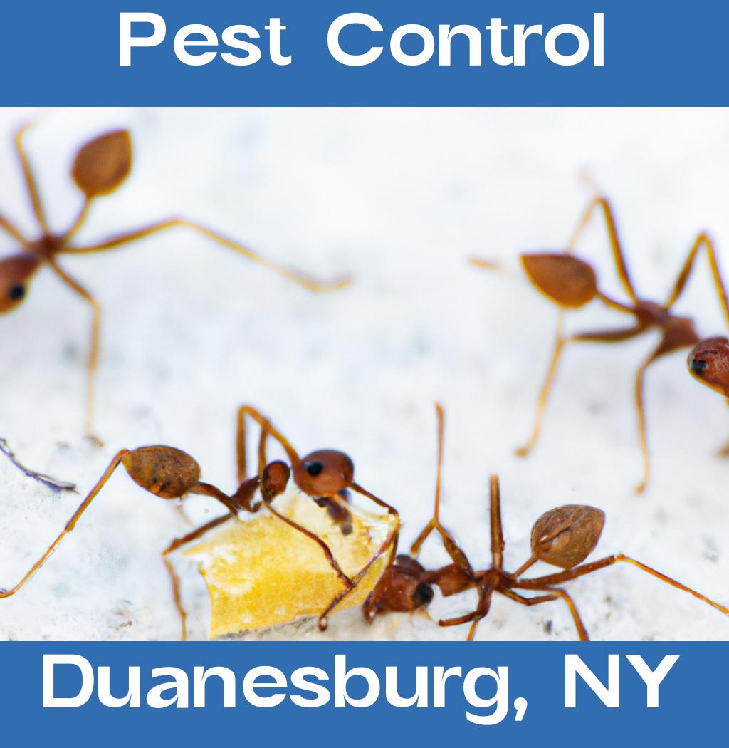 pest control in Duanesburg New York