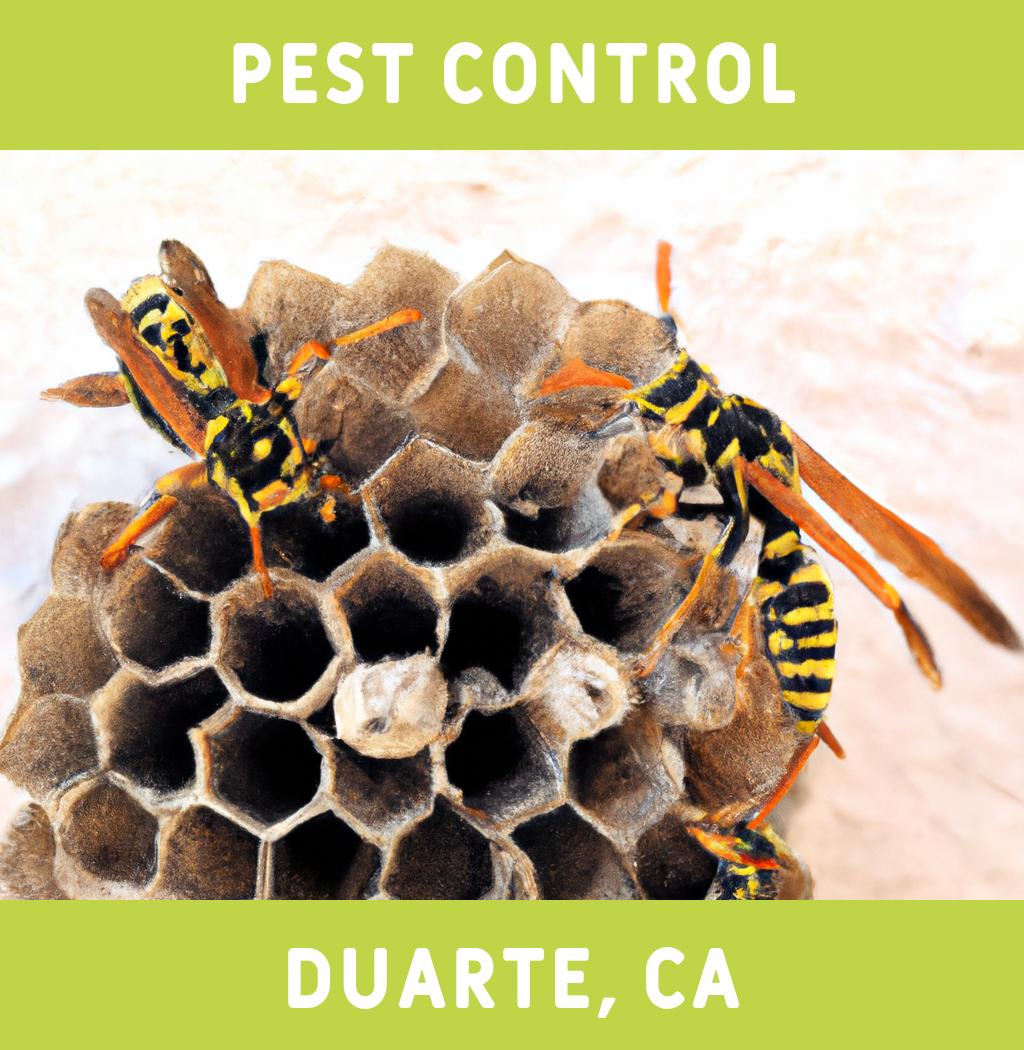 pest control in Duarte California