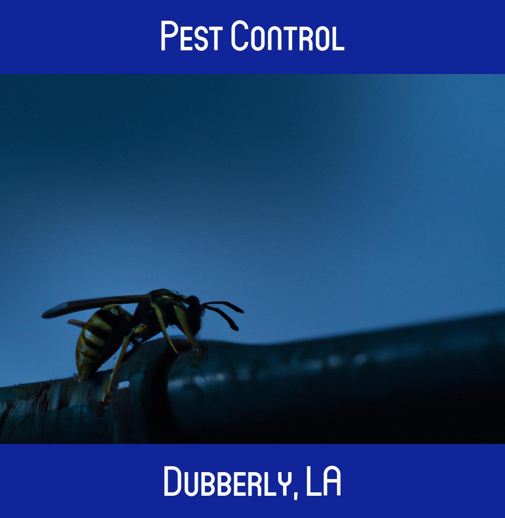 pest control in Dubberly Louisiana