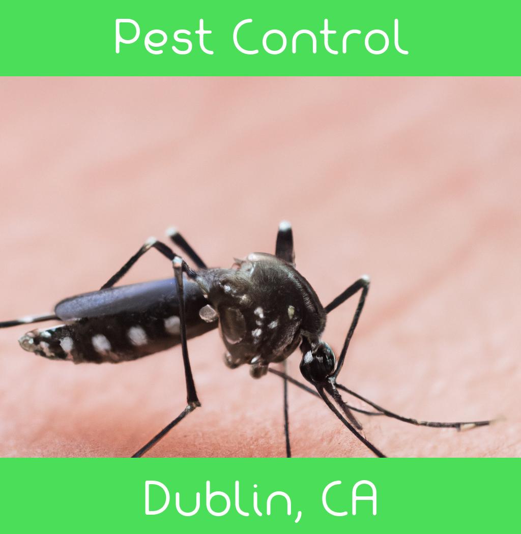 pest control in Dublin California
