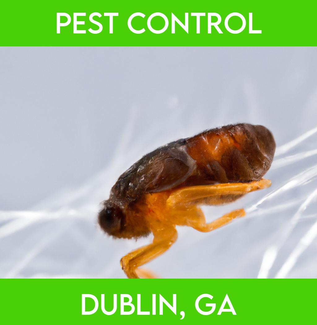 pest control in Dublin Georgia