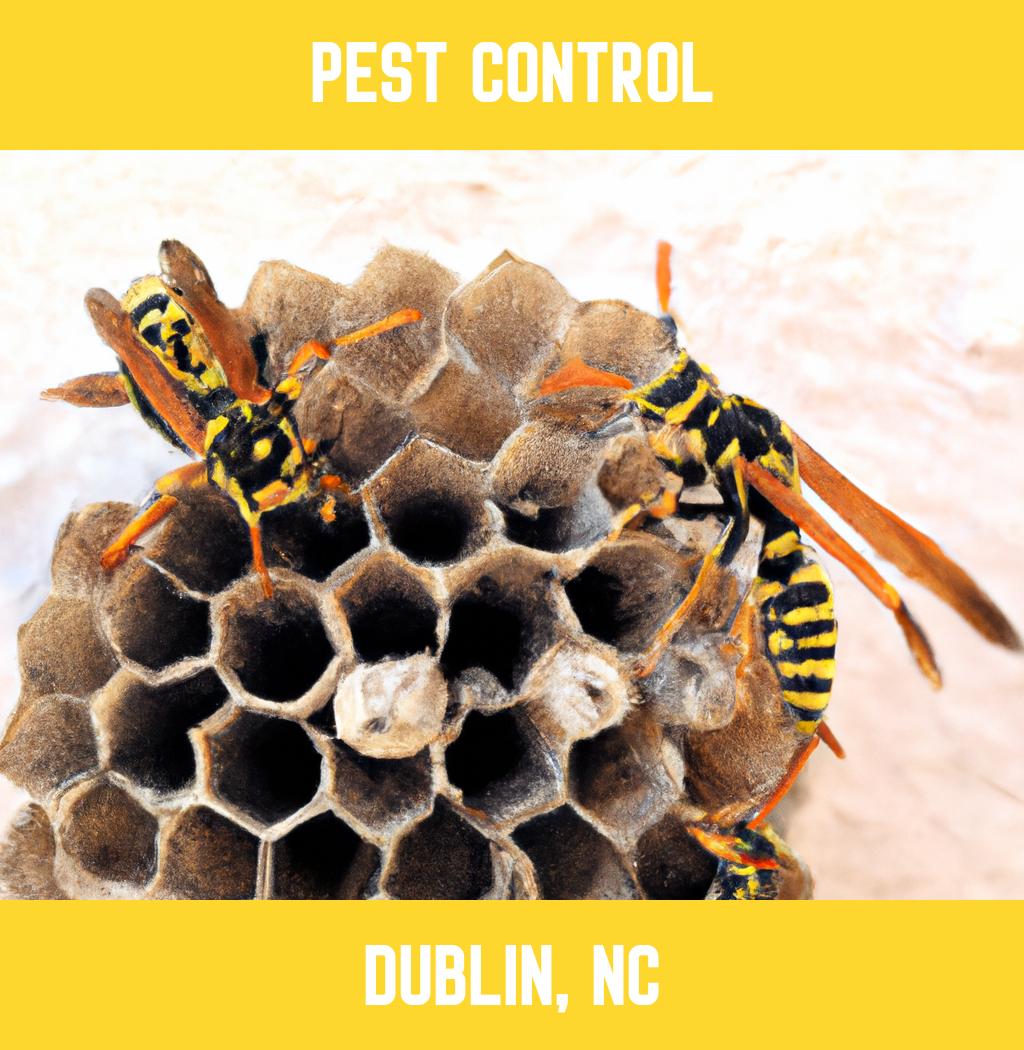 pest control in Dublin North Carolina