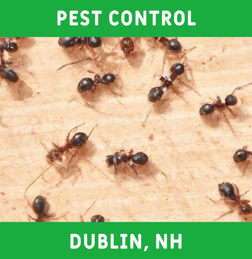 pest control in Dublin New Hampshire