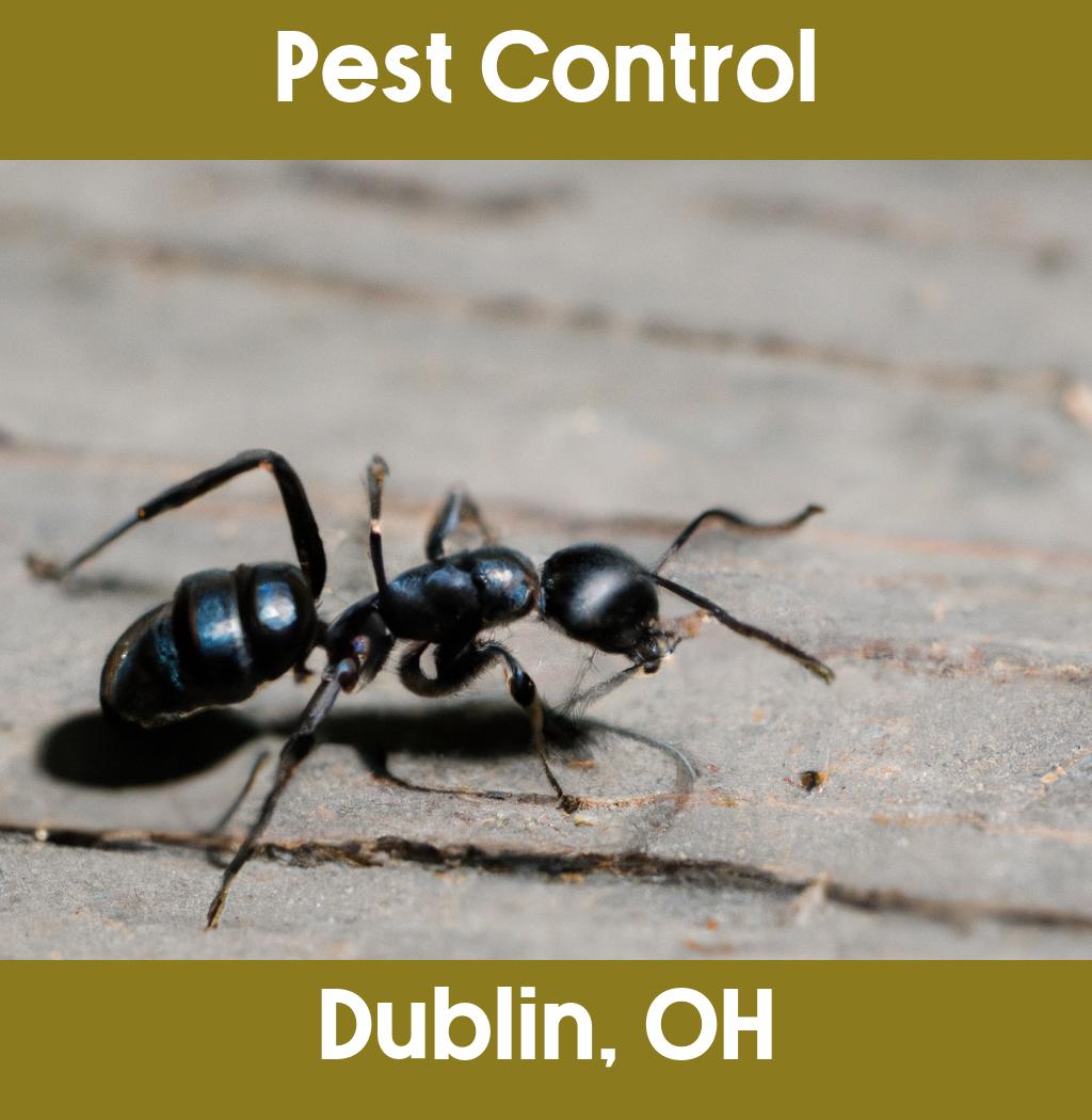 pest control in Dublin Ohio