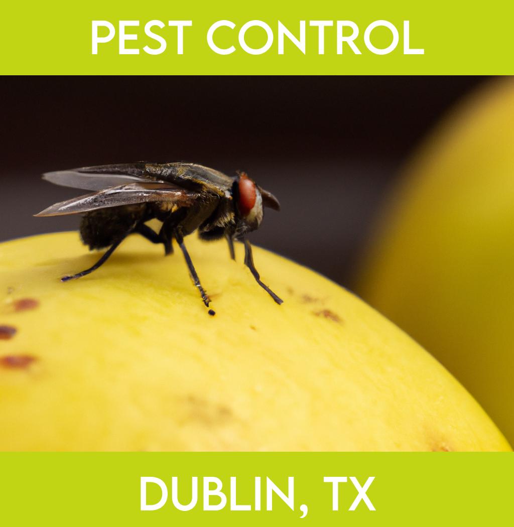 pest control in Dublin Texas