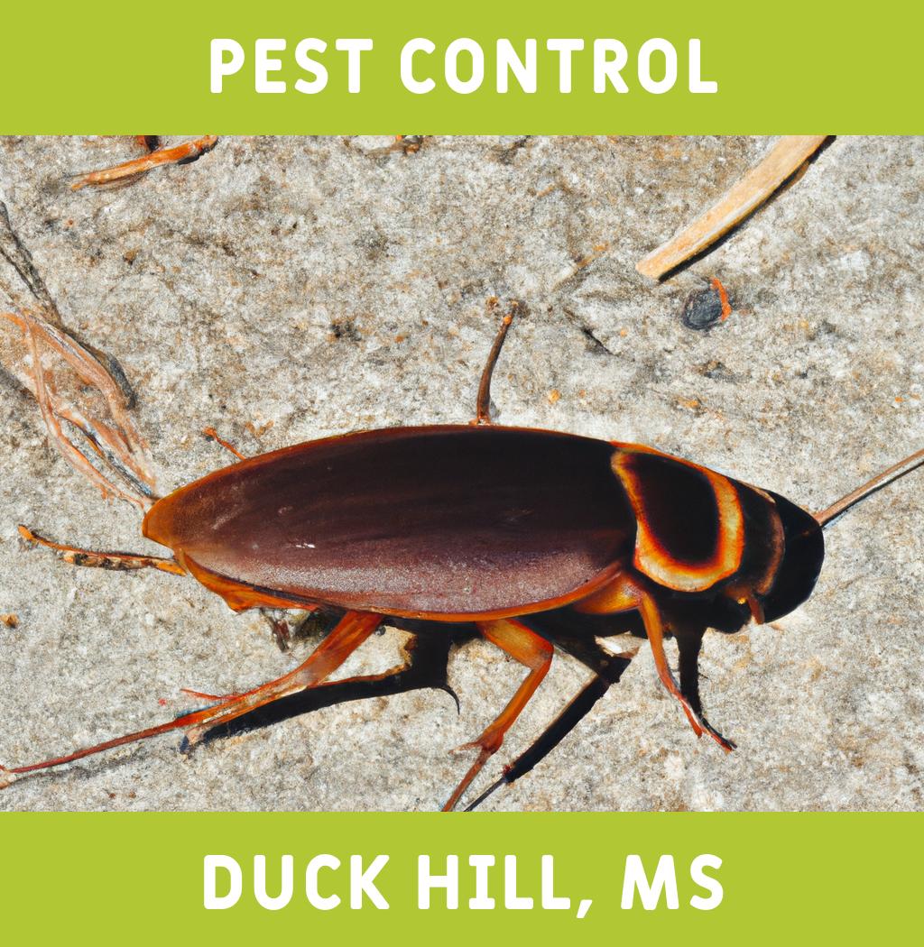 pest control in Duck Hill Mississippi