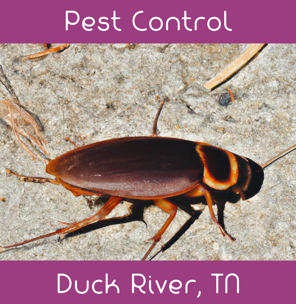 pest control in Duck River Tennessee