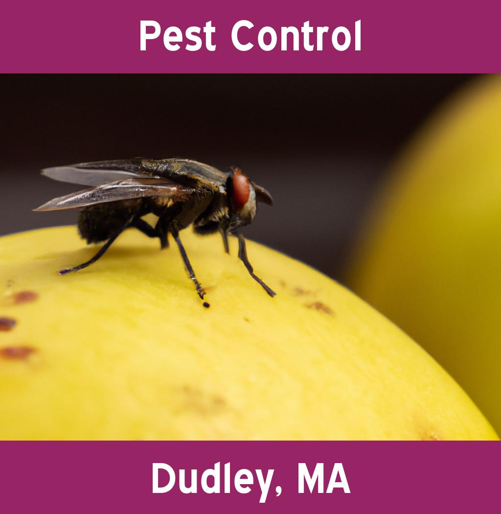 pest control in Dudley Massachusetts