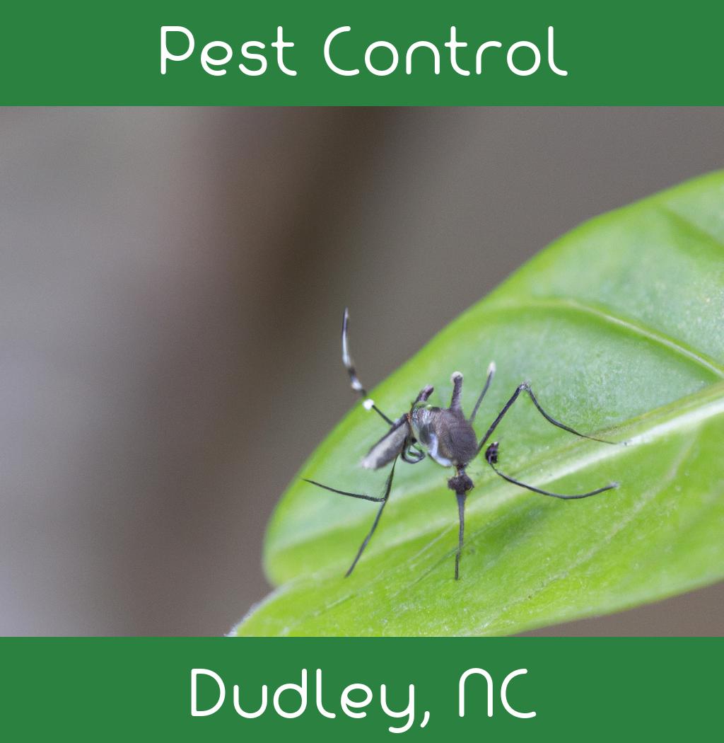pest control in Dudley North Carolina