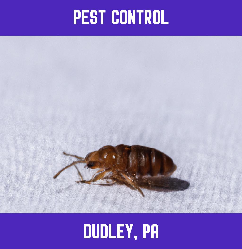 pest control in Dudley Pennsylvania