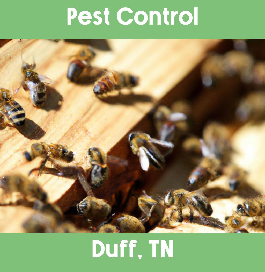 pest control in Duff Tennessee