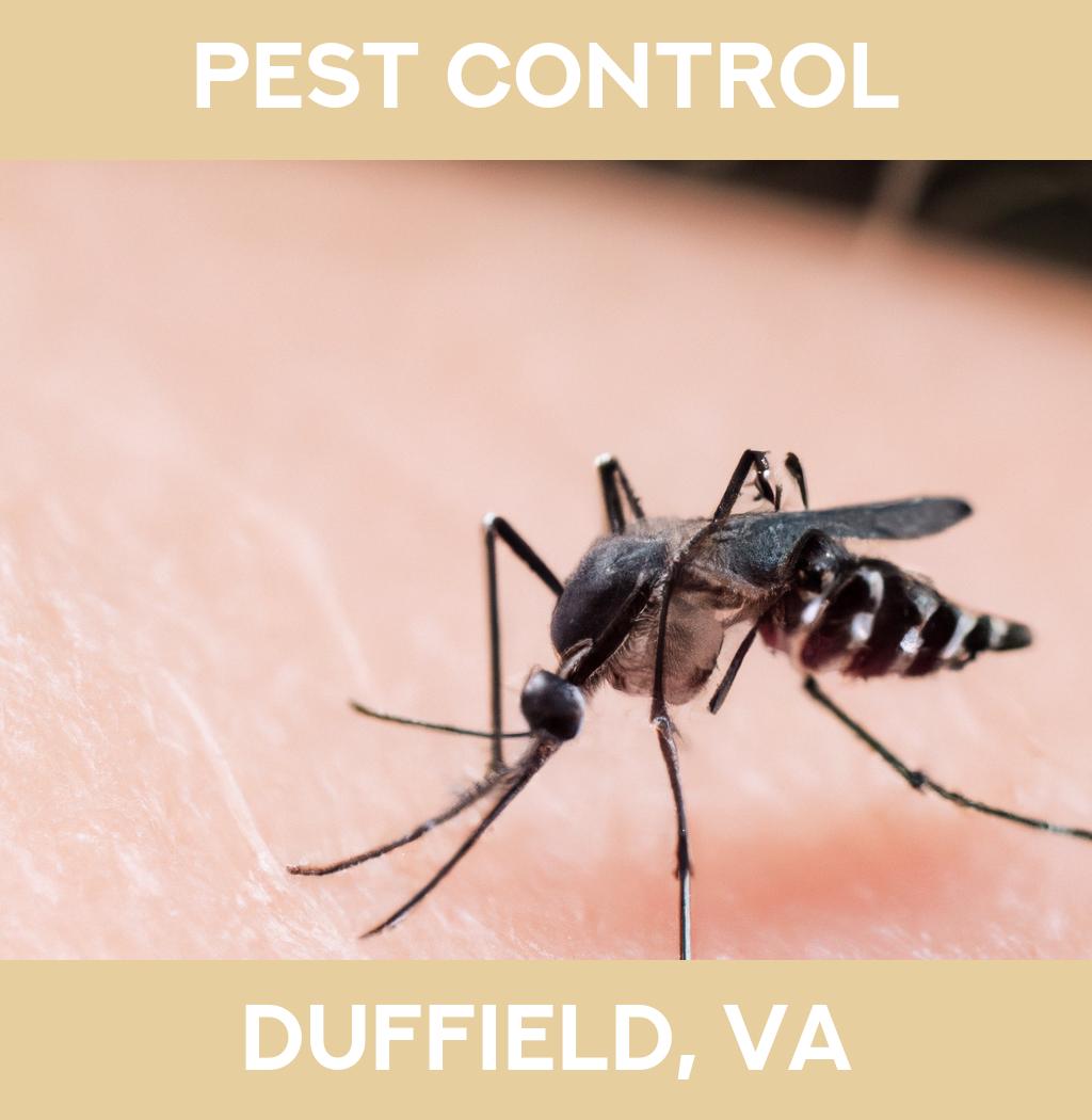 pest control in Duffield Virginia