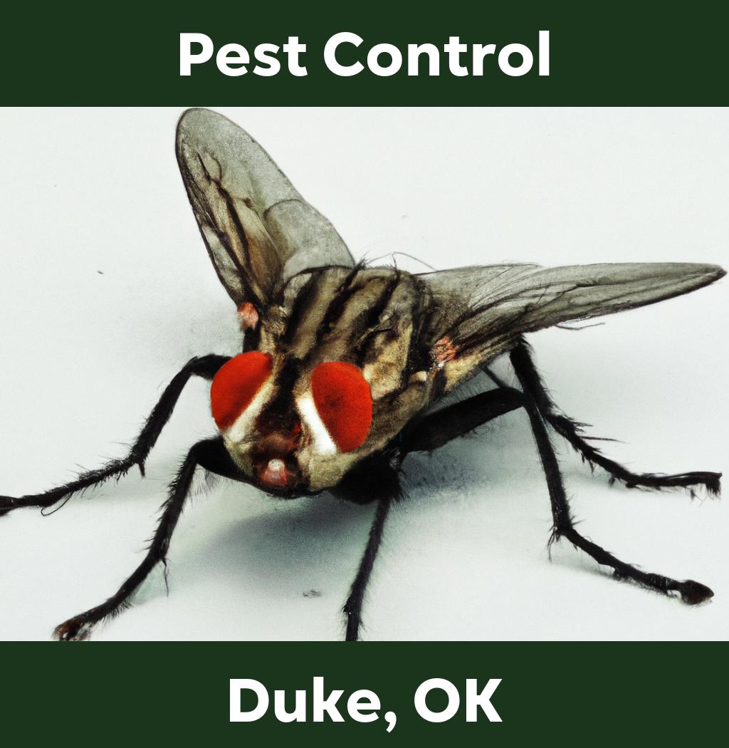pest control in Duke Oklahoma