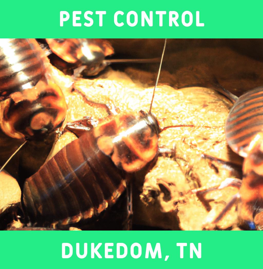 pest control in Dukedom Tennessee