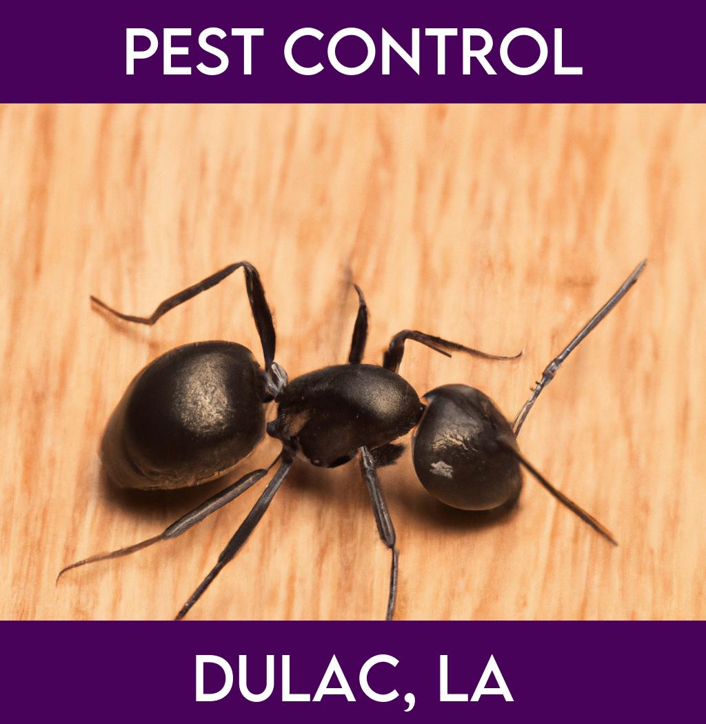 pest control in Dulac Louisiana