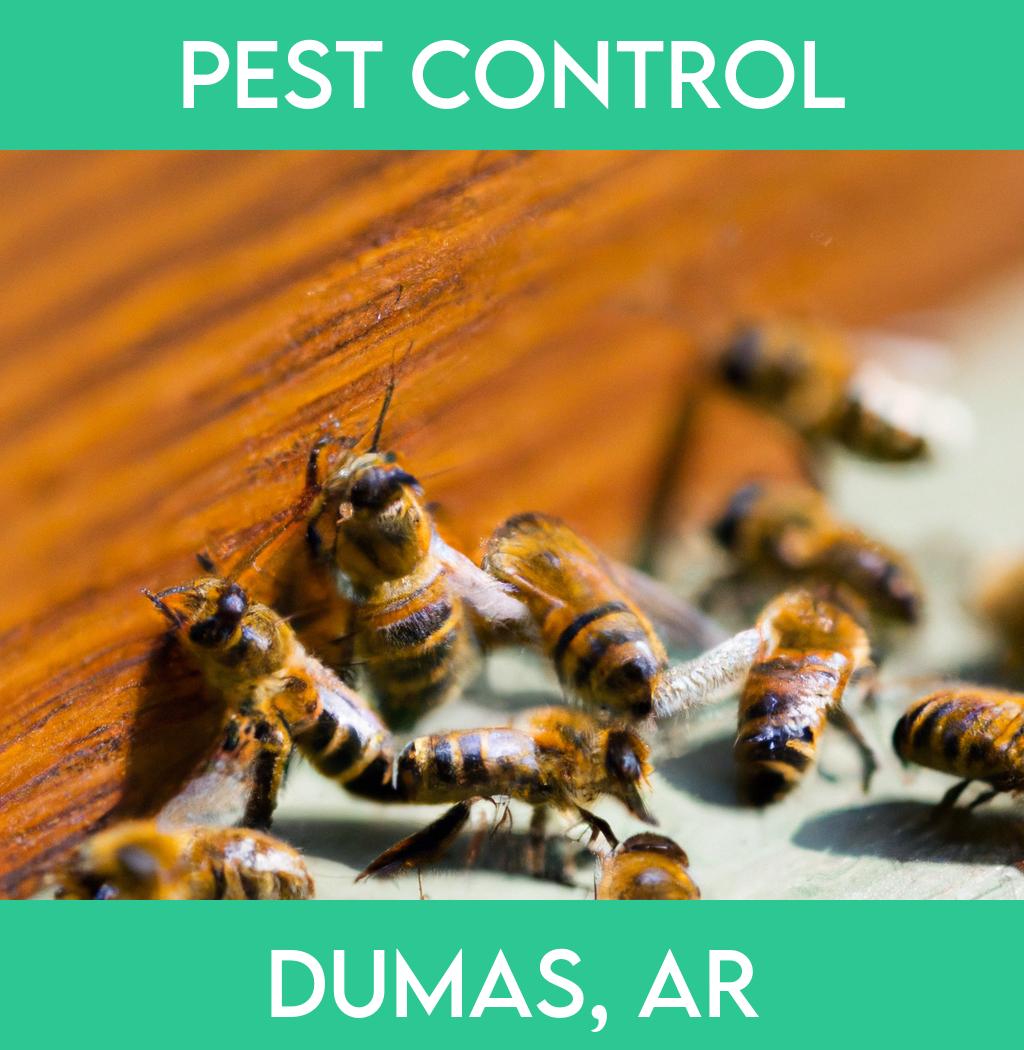 pest control in Dumas Arkansas