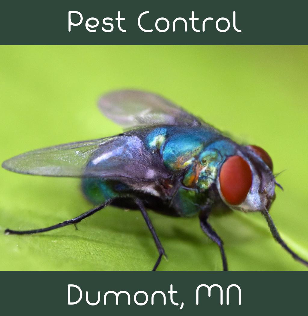 pest control in Dumont Minnesota