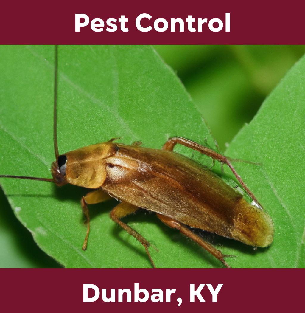 pest control in Dunbar Kentucky