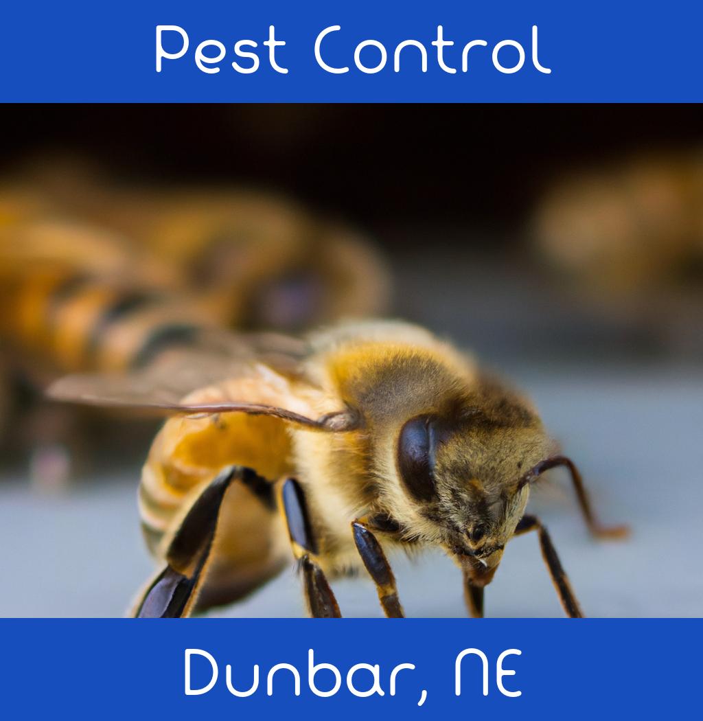 pest control in Dunbar Nebraska