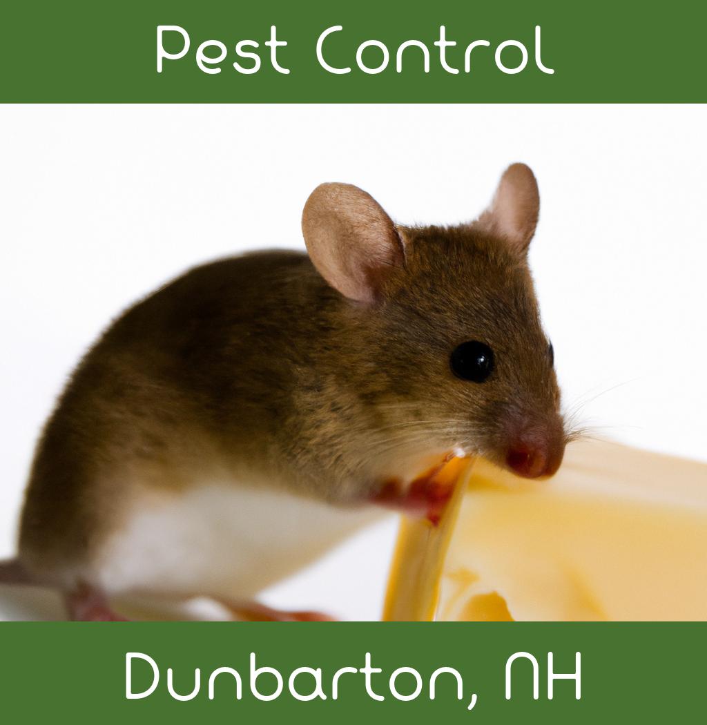 pest control in Dunbarton New Hampshire