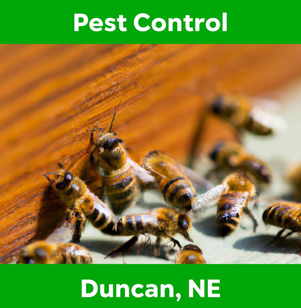 pest control in Duncan Nebraska