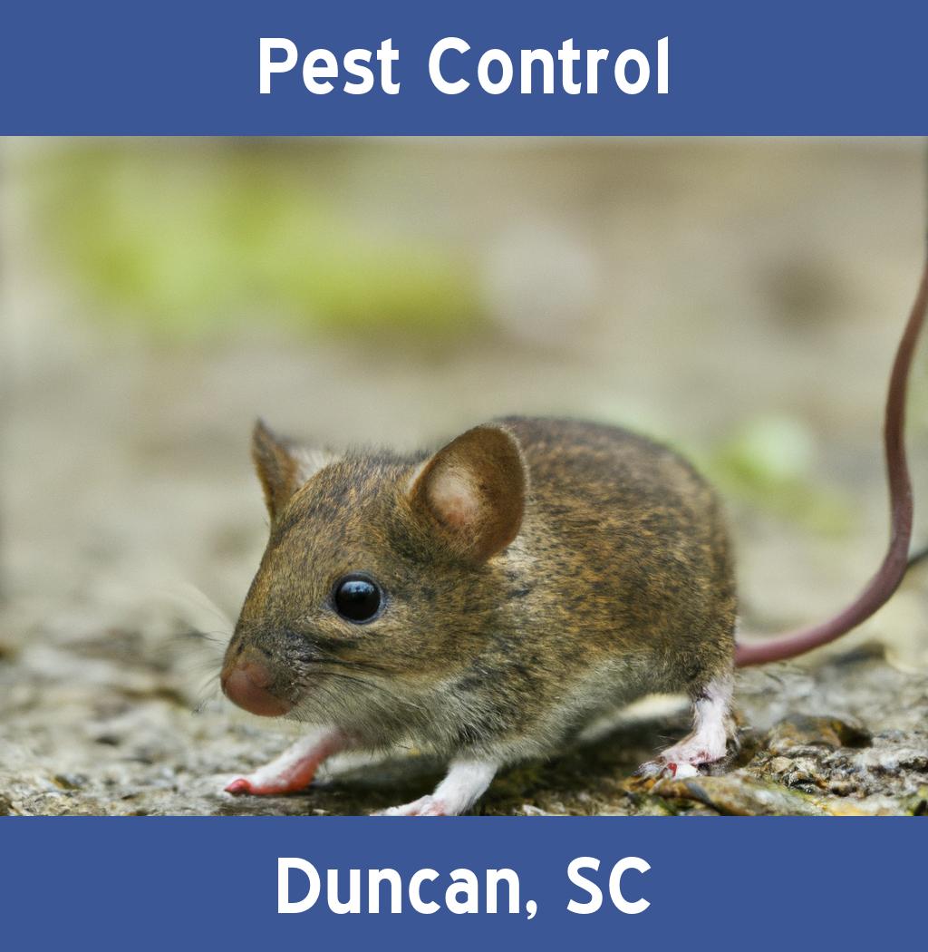 pest control in Duncan South Carolina