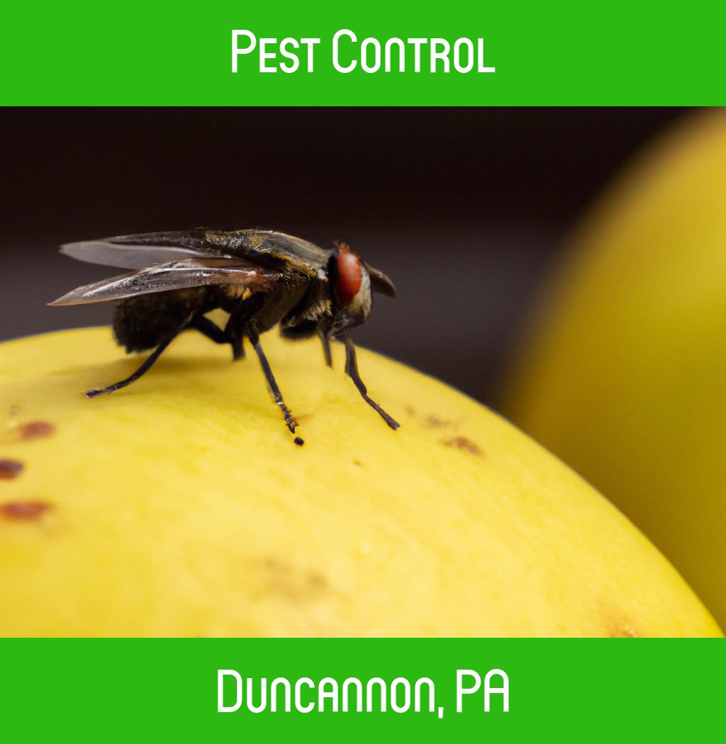 pest control in Duncannon Pennsylvania