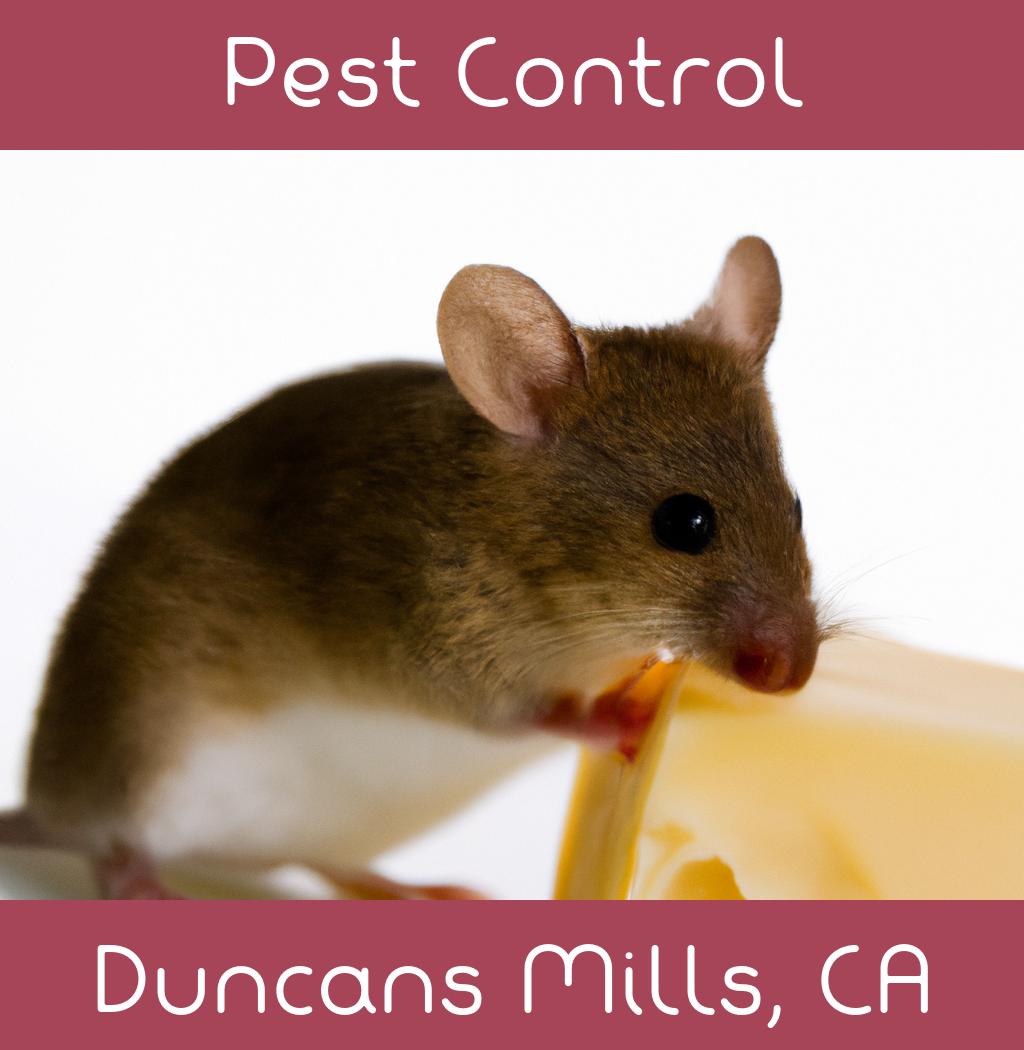 pest control in Duncans Mills California