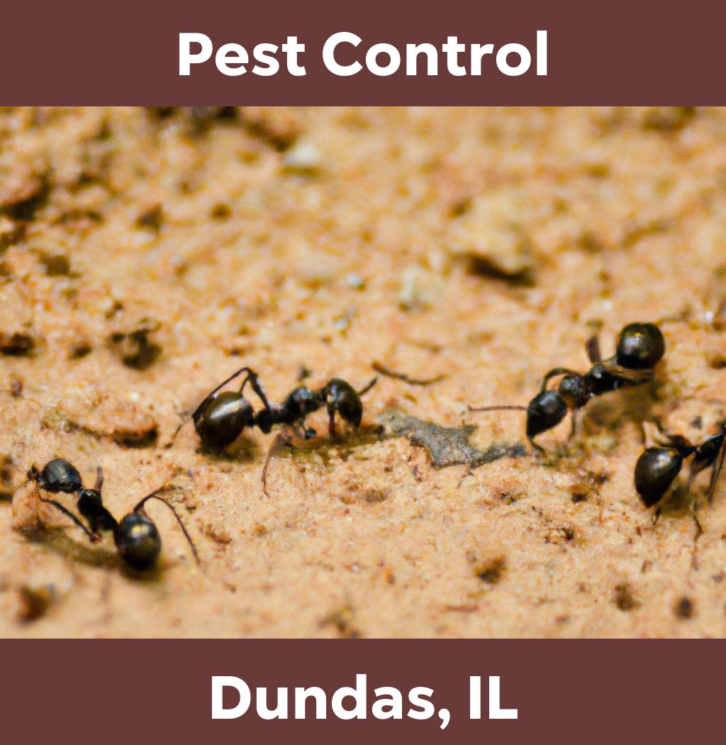 pest control in Dundas Illinois