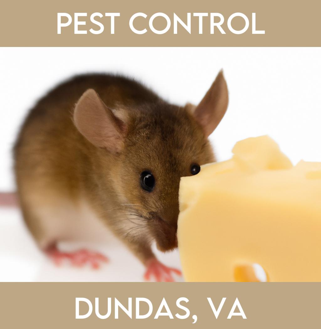 pest control in Dundas Virginia