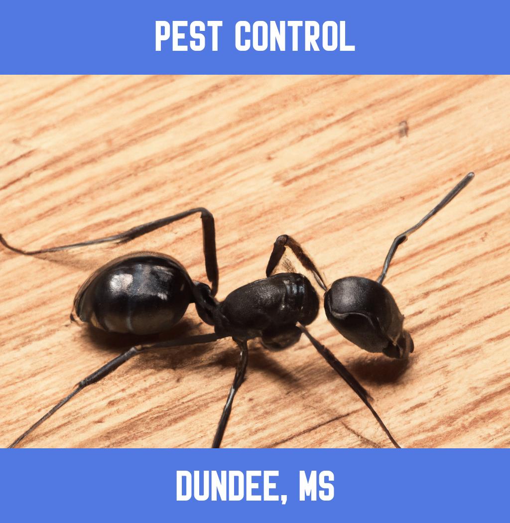 pest control in Dundee Mississippi