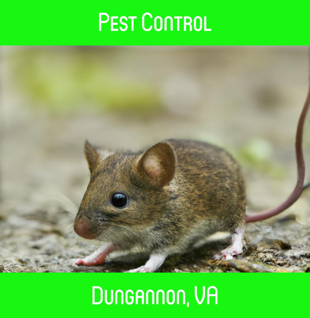 pest control in Dungannon Virginia