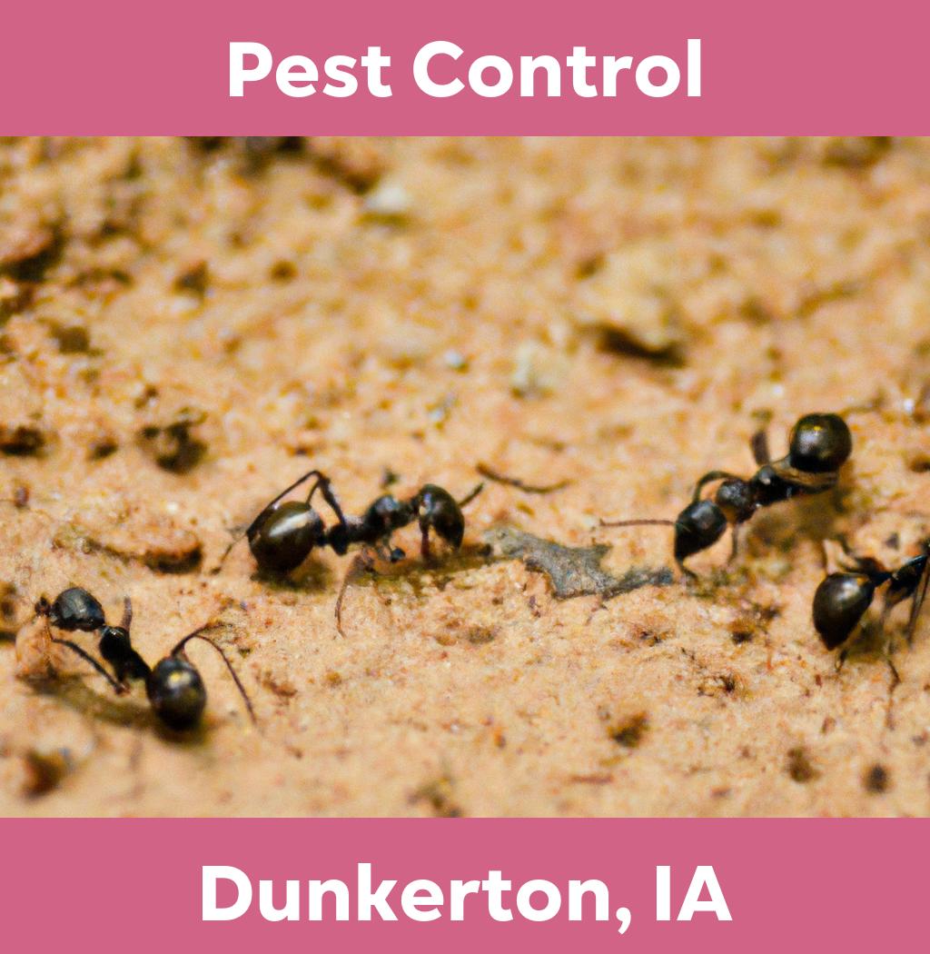 pest control in Dunkerton Iowa