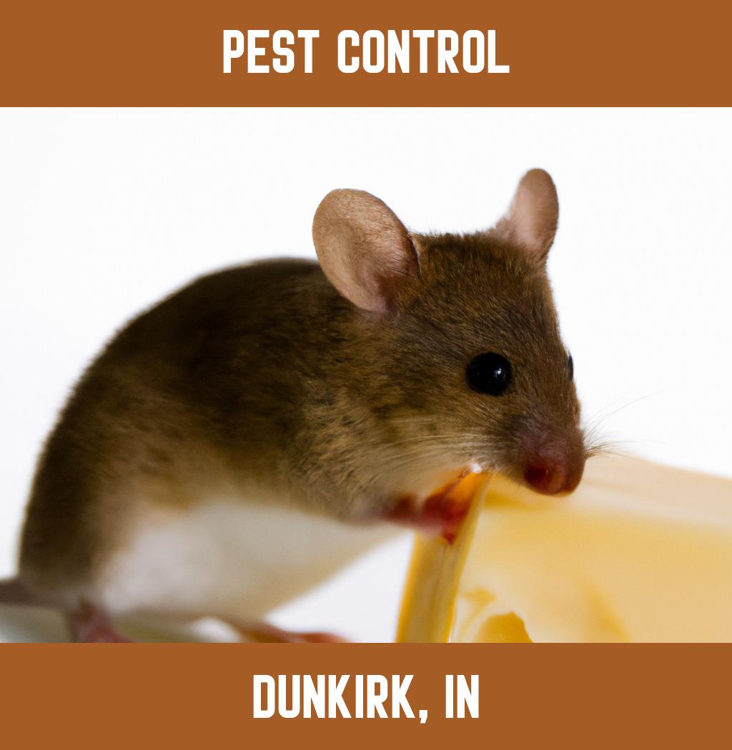 pest control in Dunkirk Indiana