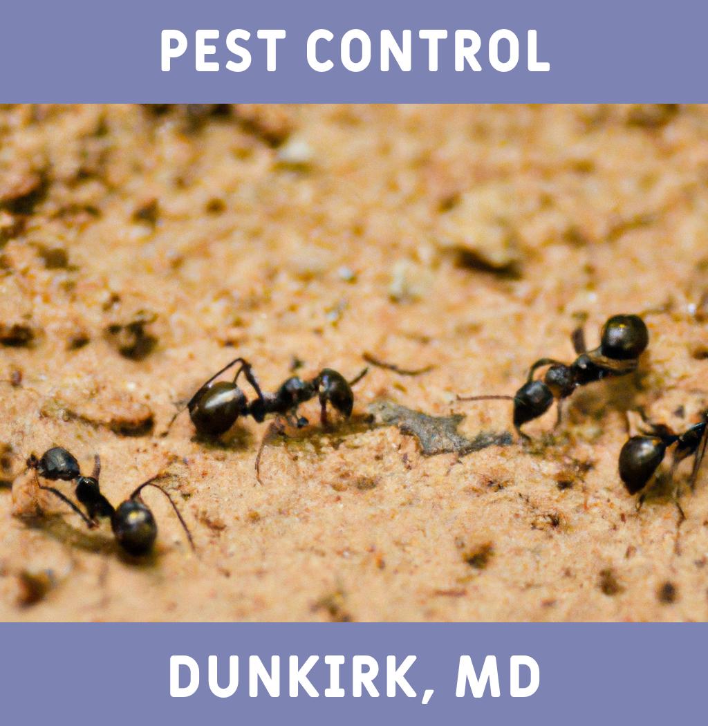 pest control in Dunkirk Maryland