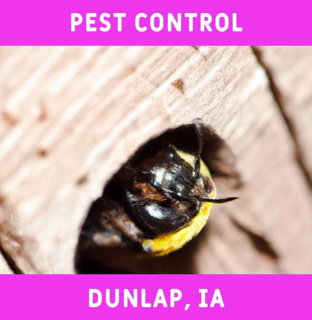 pest control in Dunlap Iowa